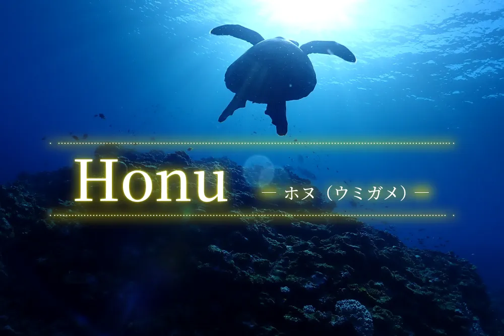 honu